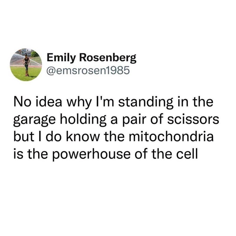 Emily Rosenberg @emsrosen1985 No idea why I'm standing in the garage holding a pair of scissors but I do know the mitochondria is the powerhouse of the cell