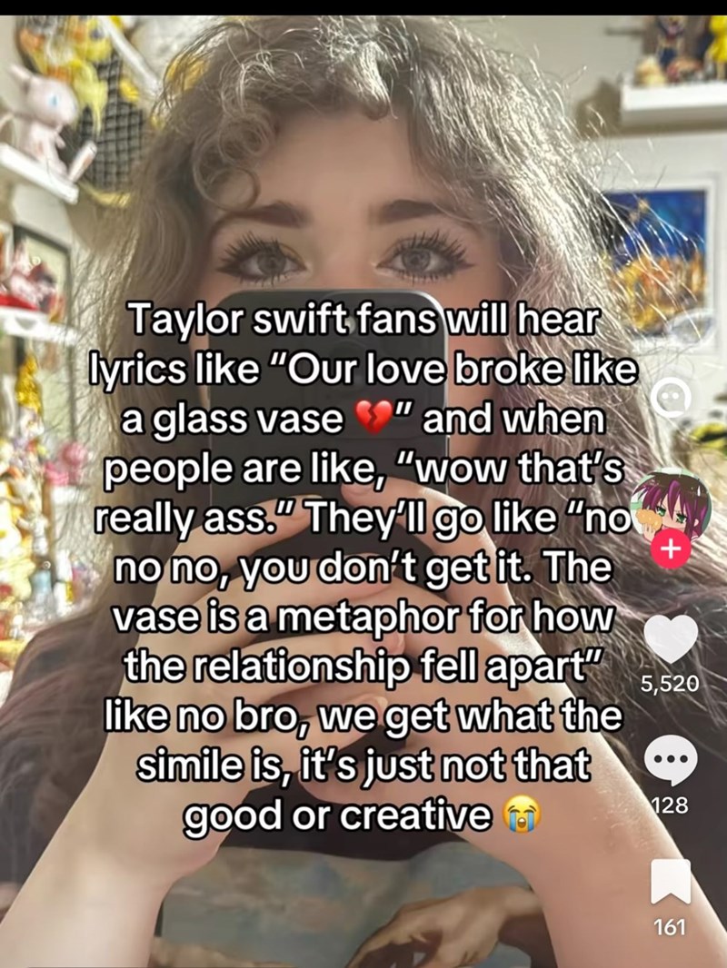 Taylor swift fans will hear lyrics like "Our love broke like a glass vase " and when people are like, "wow that's really ass." They'll go like "no no no, you don't get it. The vase is a metaphor for how the relationship fell apart" like no bro, we get what the simile is, it's just not that good or creative + 5,520 128 161