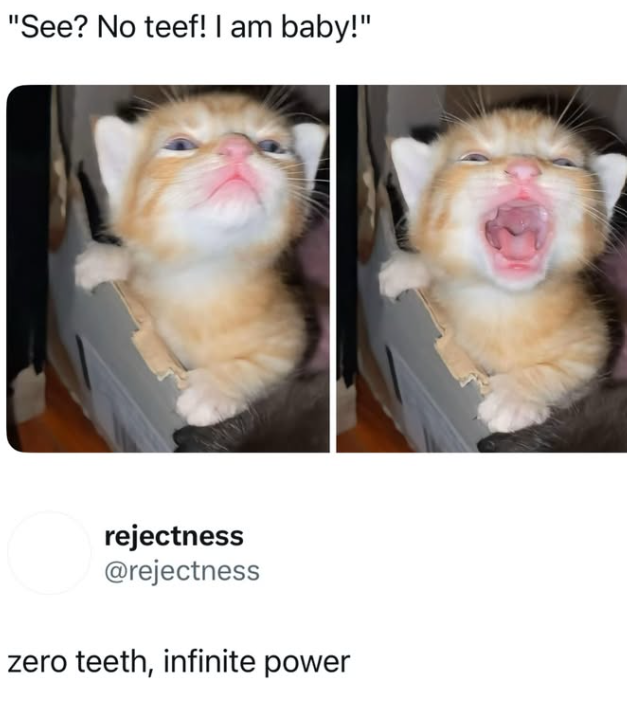 "See? No teef! I am baby!" rejectness @rejectness zero teeth, infinite power