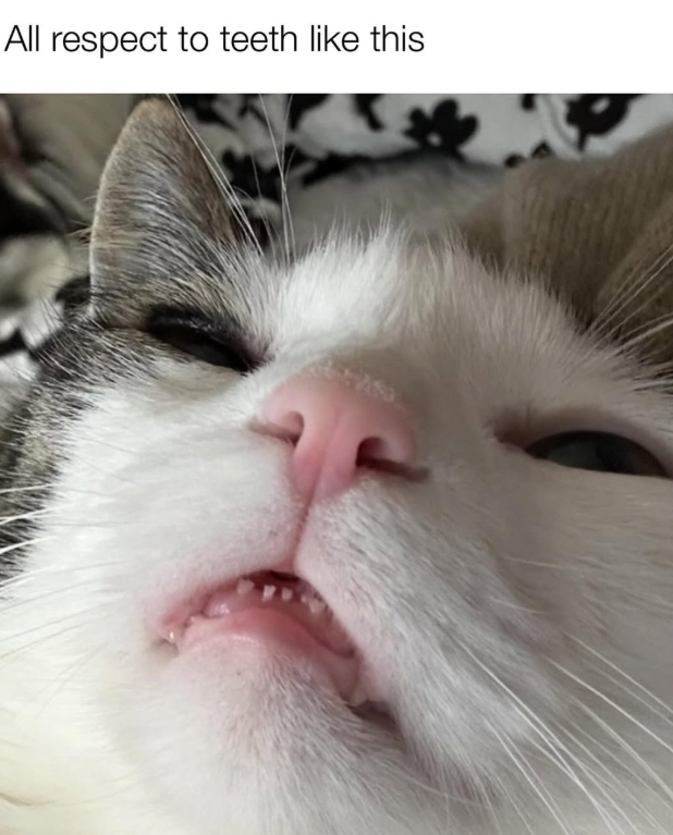 All respect to teeth like this
