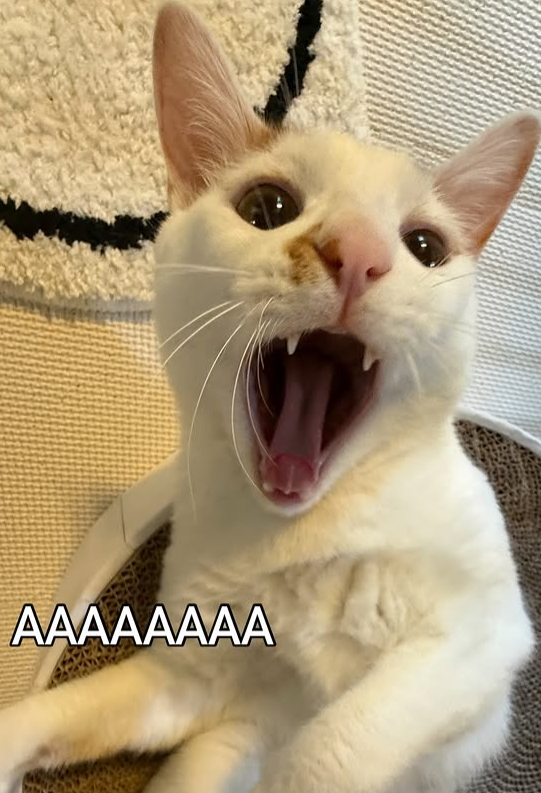 AAAAAAAA