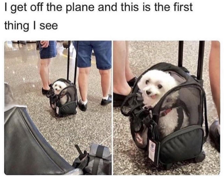 I get off the plane and this is the first thing I see