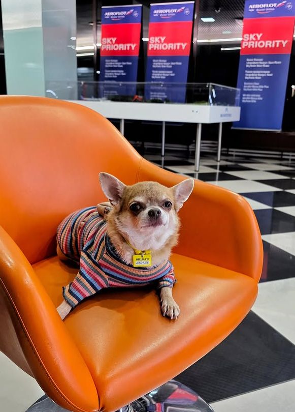 AEROFLOTA AEROFLOTA AEROFLOT SKY PRIORITY SKY PRIORITY SKY PRIORITY HELLO, GEORGE