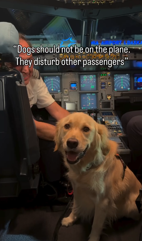 "Dogs should not be on the plane. They disturb other passengers" 01