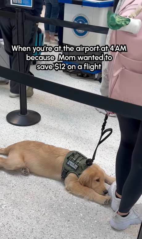 When you're at the airport at 4AM because Mom wanted to save $12 on a flight H SERVICE DOS INTRAINING REIS
