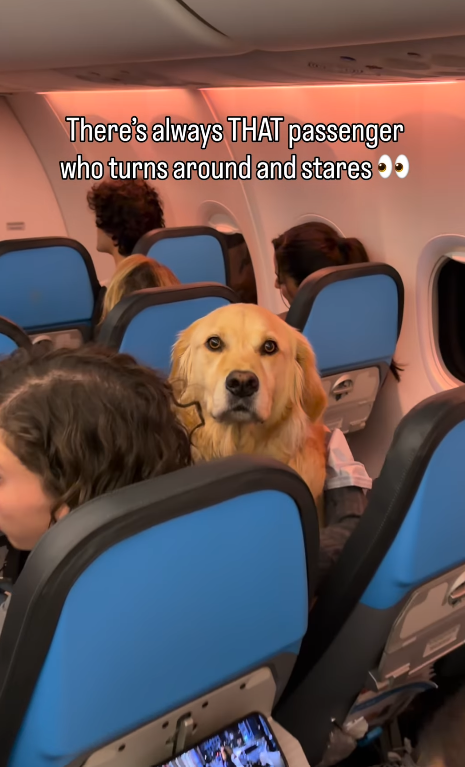 There's always THAT passenger who turns around and stares >>