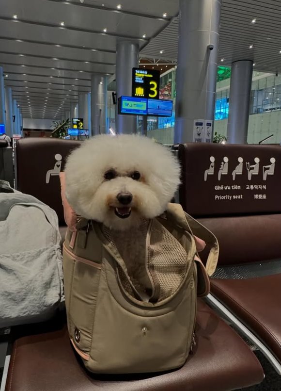 Jink 3 AAAWA Ghé vu tién 교통약자석 Priority seat 博愛座