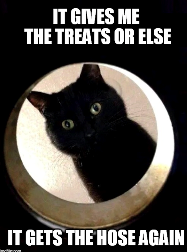 IT GIVES ME THE TREATS OR ELSE IT GETS THE HOSE AGAIN imgflip.com