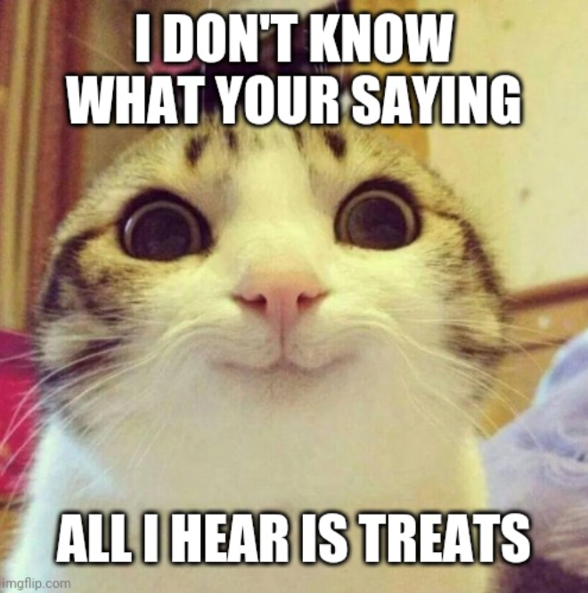 I DON'T KNOW WHAT YOUR SAYING ALL I HEAR IS TREATS imgflip.com