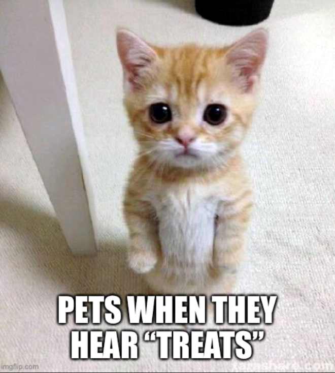 imgflip.com PETS WHEN THEY HEAR "TREATS"