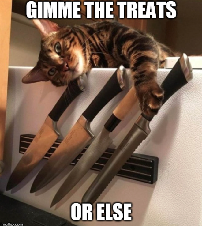 GIMME THE TREATS OR ELSE imgflip.com