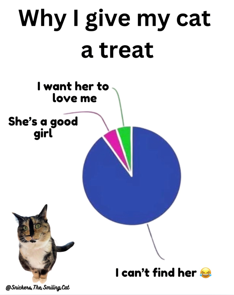 Why I give my cat a treat I want her to love me She's a good girl I can't find her @Snickers The Smiling. Cat