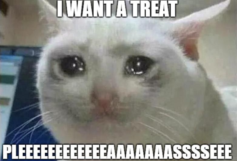 I WANT A TREAT PLEEEEEEEEEEEEAAAAAAASSSSEEE