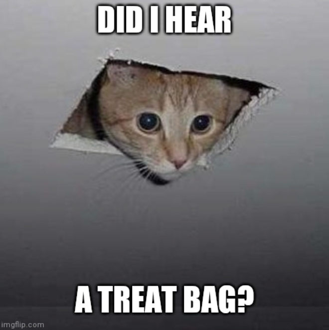 DID I HEAR A TREAT BAG? imgflip.com