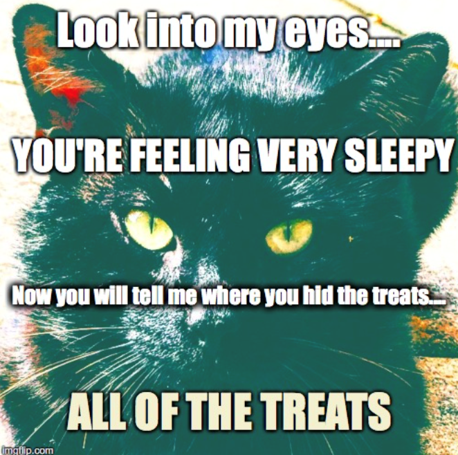 Look into my eyes... YOU'RE FEELING VERY SLEEPY Now you will tell me where you hid the treats.... Imgflip.com ALL OF THE TREATS