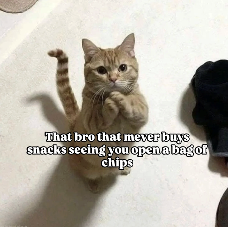 That bro that mever buys snacks seeing you open a bag of chips