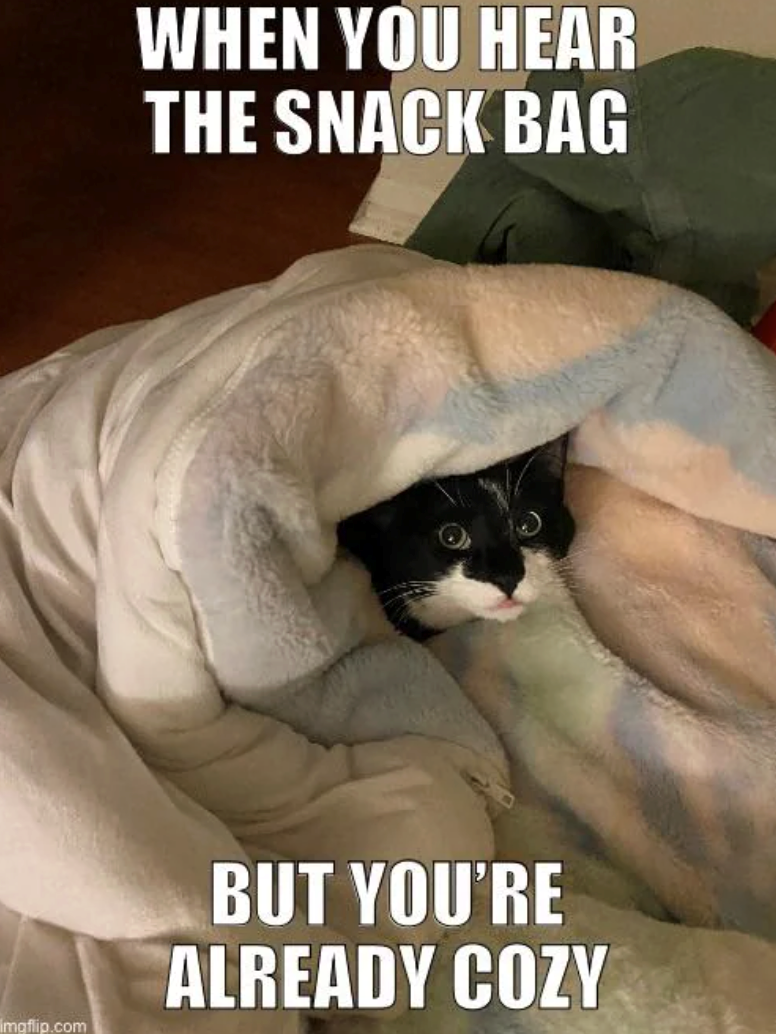 imgflip.com WHEN YOU HEAR THE SNACK BAG BUT YOU'RE ALREADY COZY