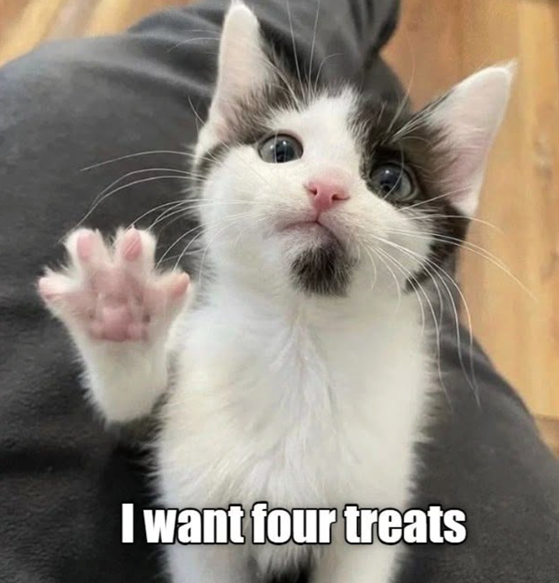 I want four treats