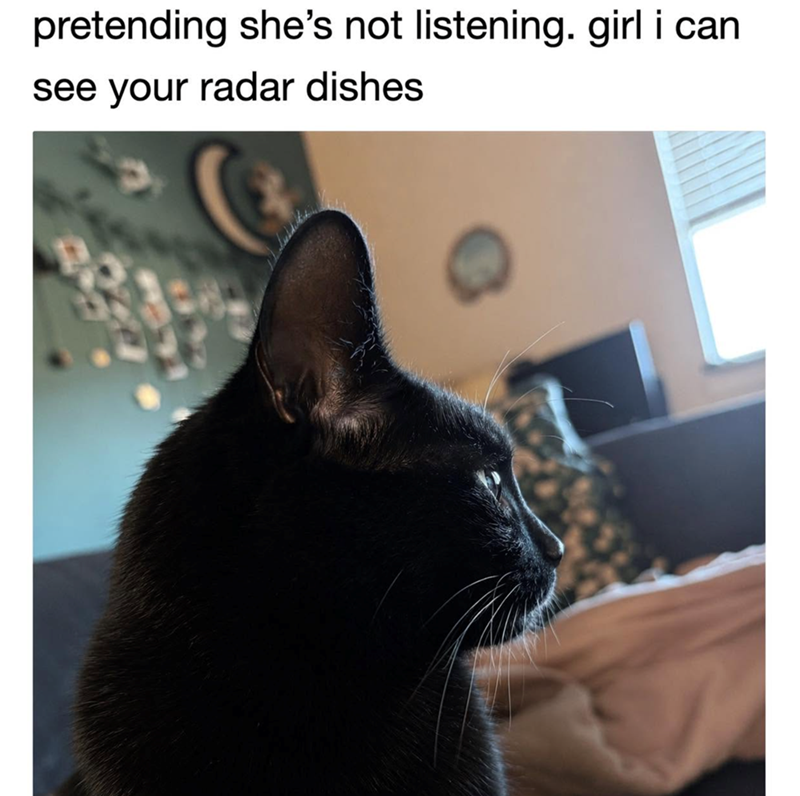 pretending she's not listening. girl i can see your radar dishes