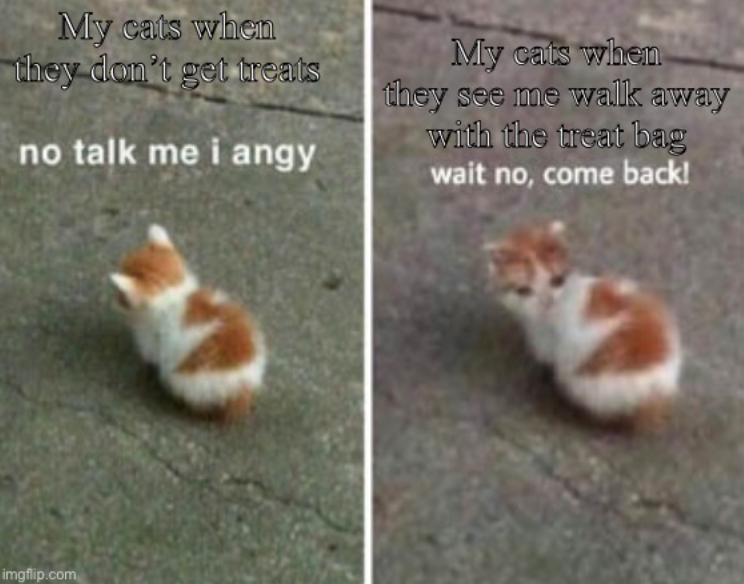 My cats when they don't get treats no talk me i angy My cats when they see me walk away with the treat bag wait no, come back! imgflip.com