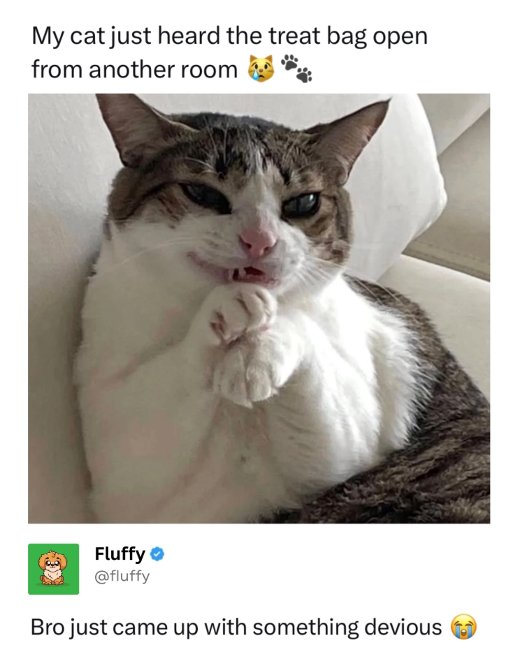 My cat just heard the treat bag open from another room Fluffy @fluffy Bro just came up with something devious
