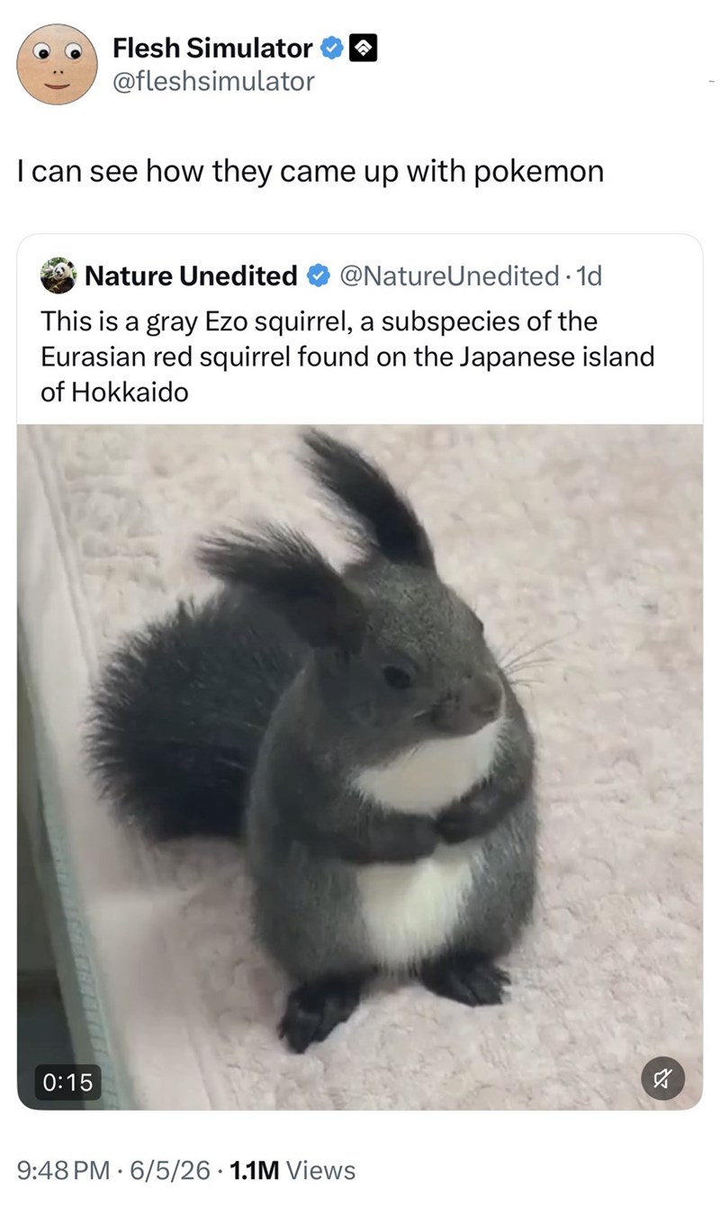 Flesh Simulator @fleshsimulator I can see how they came up with pokemon Nature Unedited @NatureUnedited ⚫1d This is a gray Ezo squirrel, a subspecies of the Eurasian red squirrel found on the Japanese island of Hokkaido 0:15 9:48 PM 6/5/26 1.1M Views ☑ 2