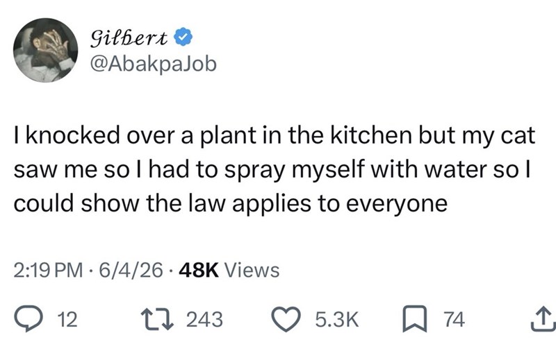 Gilbert ❤ @AbakpaJob I knocked over a plant in the kitchen but my cat saw me so I had to spray myself with water so I could show the law applies to everyone 2:19 PM 6/4/26 • 48K Views 12 243 5.3K ☐ 74 ↑