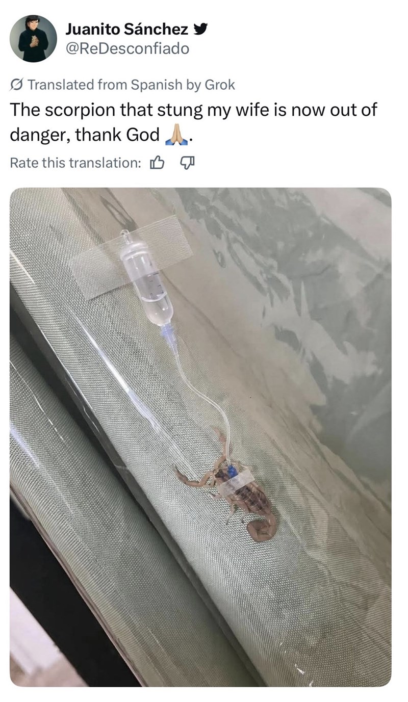 Juanito Sánchez ✔ @ReDesconfiado Translated from Spanish by Grok The scorpion that stung my wife is now out of danger, thank God A. Rate this translation: B