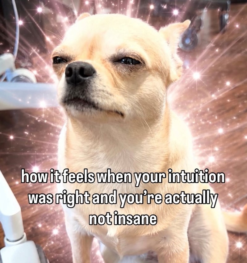how it feels when your intuition was right and you're actually not insane