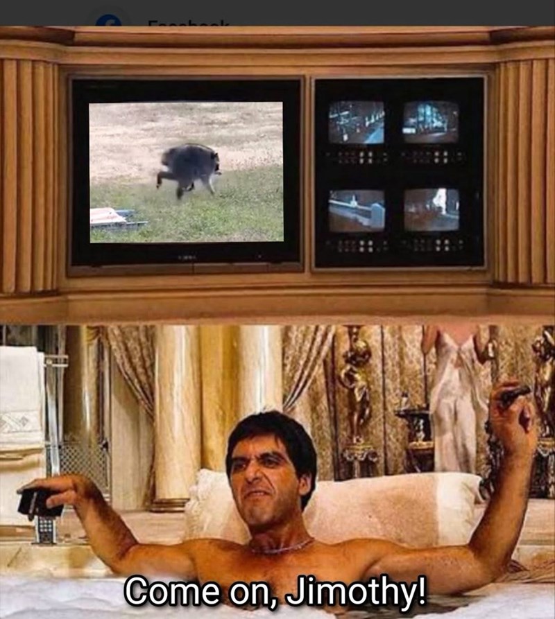 Come on, Jimothy!