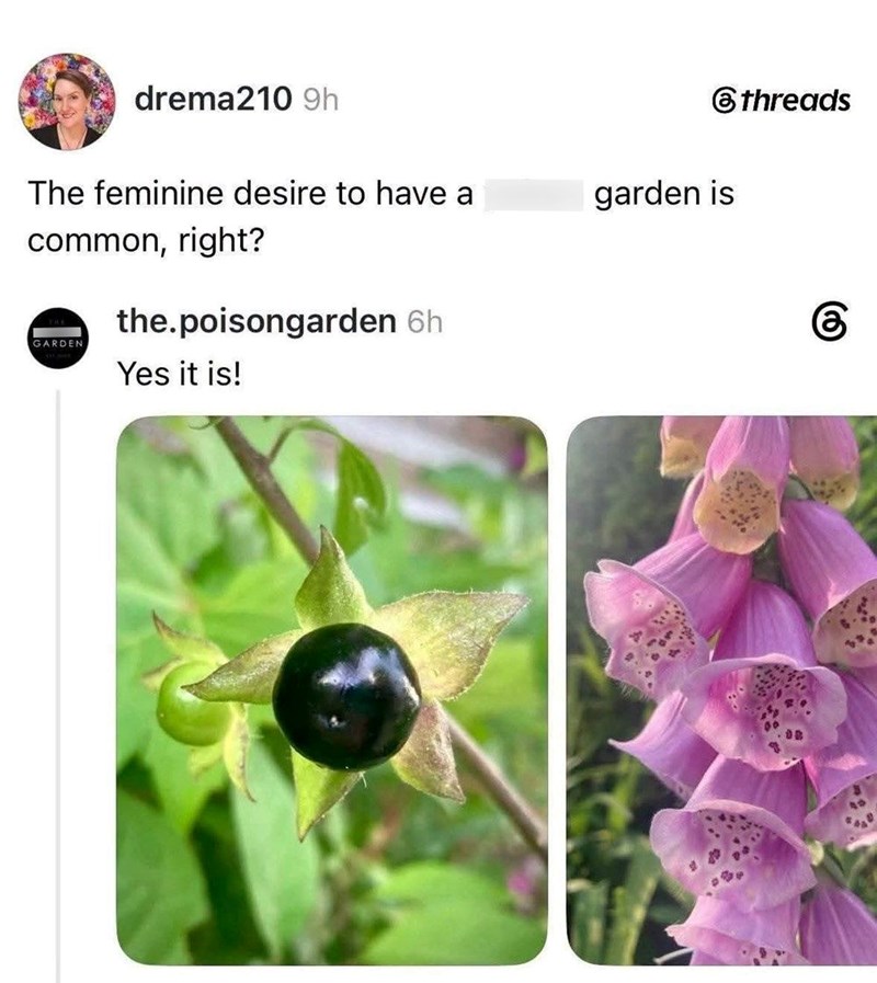 drema210 9h The feminine desire to have a common, right? the.poisongarden 6h GARDEN Yes it is! garden is threads கு