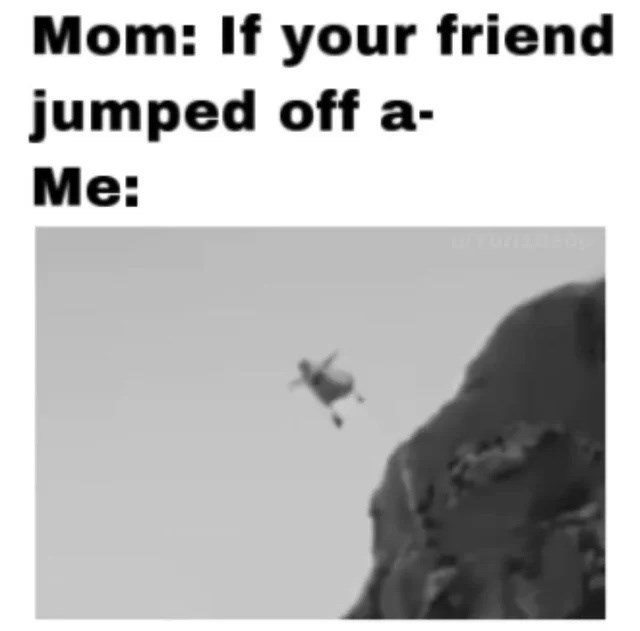 Mom: If your friend jumped off a- Me: