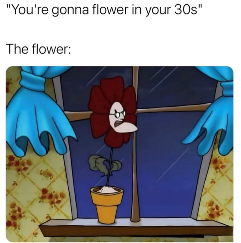 "You're gonna flower in your 30s" The flower: