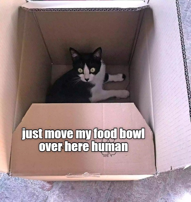 Cheezburger Image 10650697728