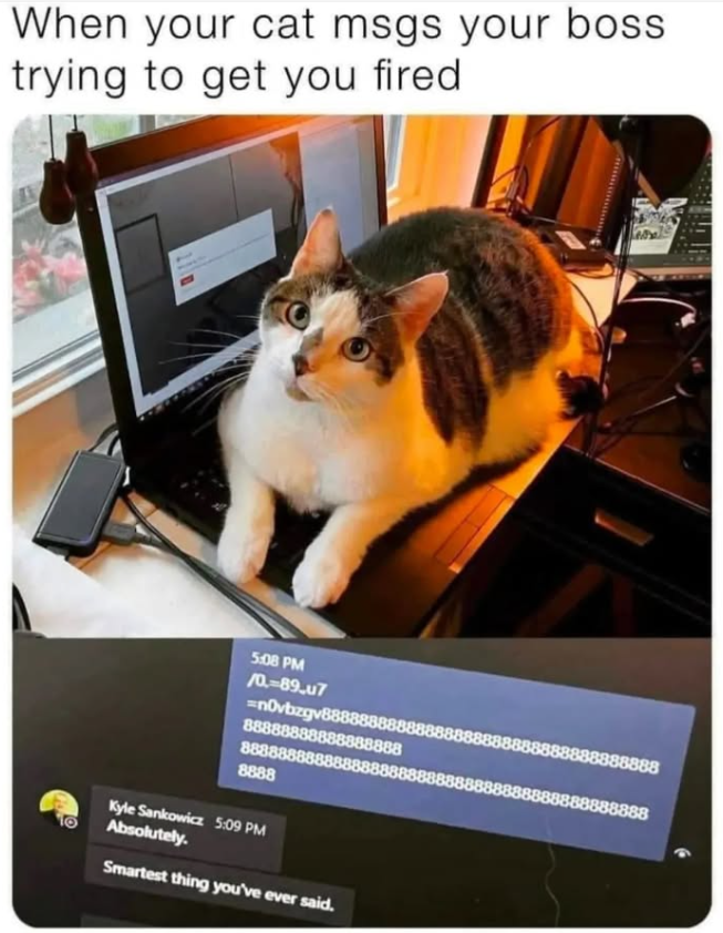 When your cat msgs your boss trying to get you fired. 5:08 PM /0-89.u7 =nOvbzgv888 888888 888888 8888 Kyle Sankowicz 5:09 PM Absolutely. Smartest thing you've ever said. 8888 888