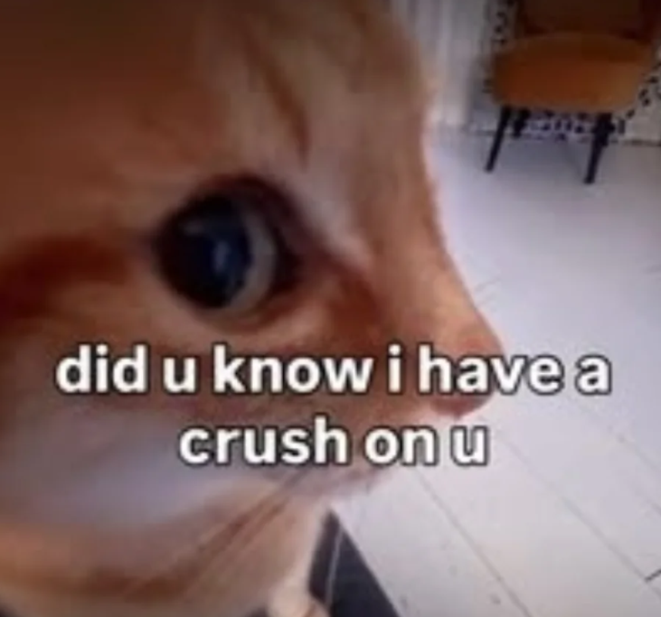 did u know i have a crush on u