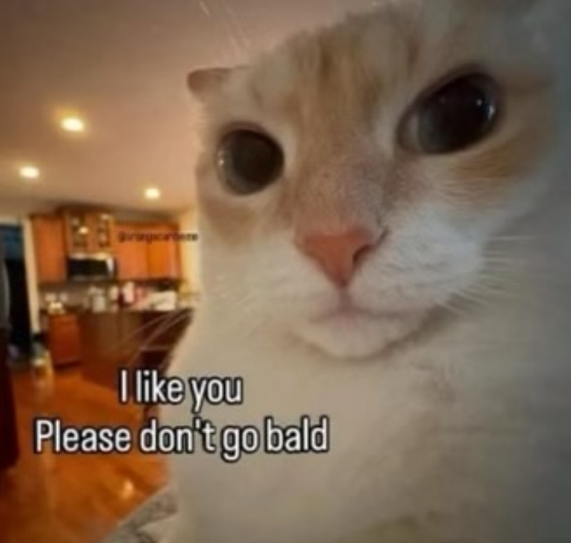 ringcaree I like you Please don't go bald