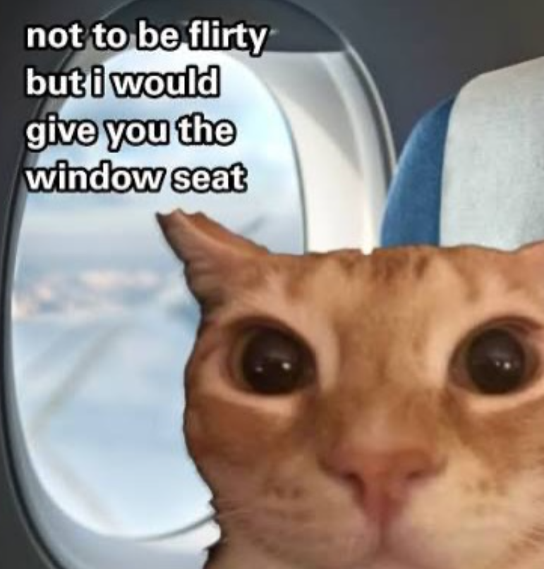 not to be flirty but i would give you the window seat