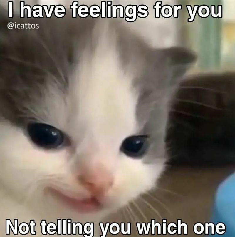 I have feelings for you @icattos Not telling you which one