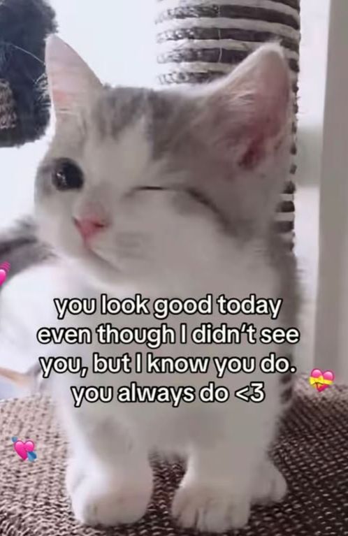 you look good today even though I didn't see you, but I know you do. you always do <3
