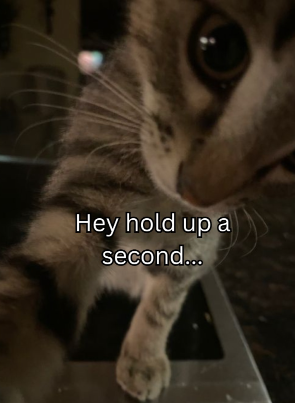 Hey hold up a second...
