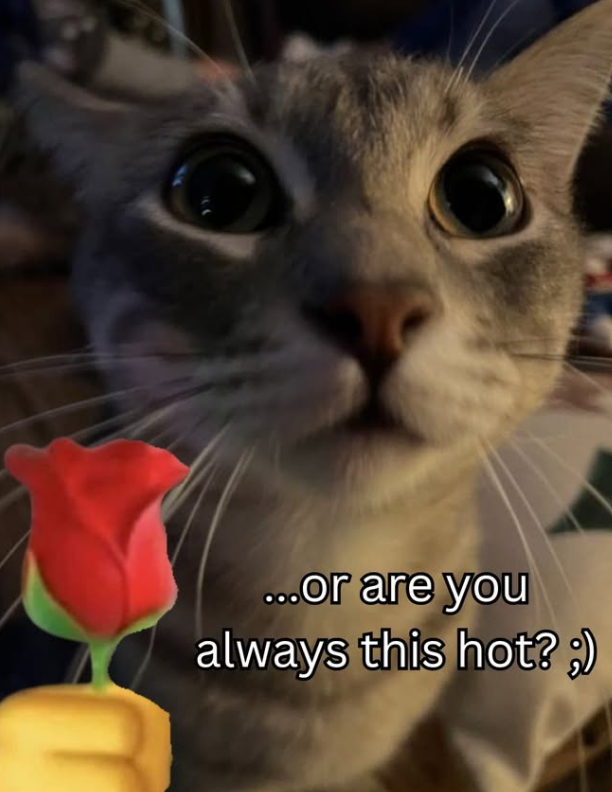 ...or are you always this hot? ;)