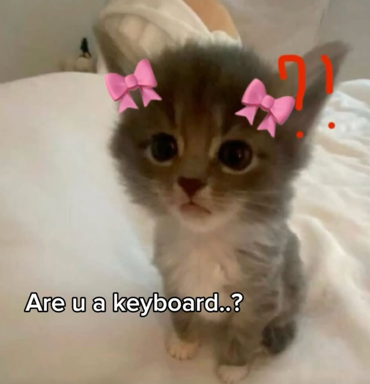 Are u a keyboard..?