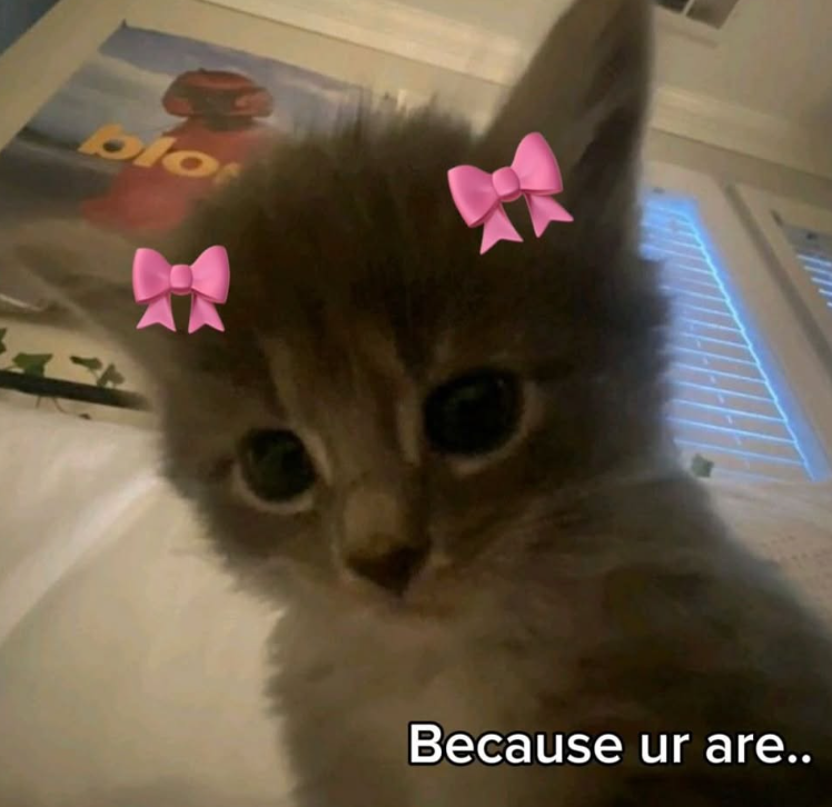 blo Because ur are..