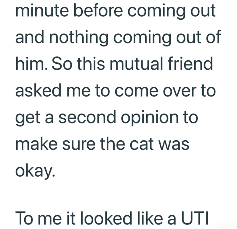 minute before coming out and nothing coming out of him. So this mutual friend asked me to come over to get a second opinion to make sure the cat was okay. To me it looked like a UTI