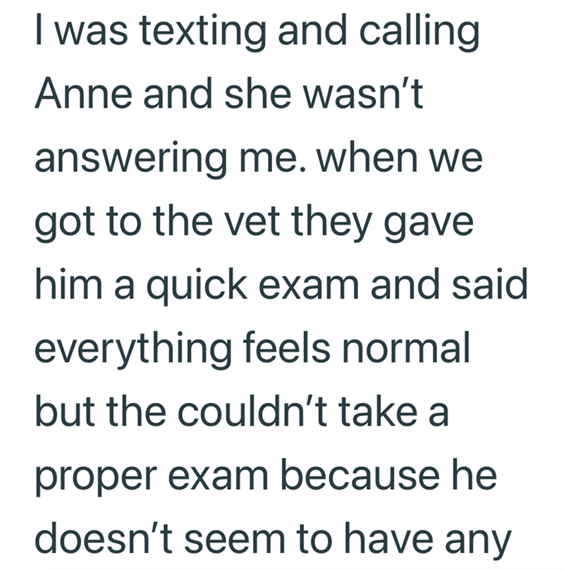 I was texting and calling Anne and she wasn't answering me. when we got to the vet they gave him a quick exam and said everything feels normal but the couldn't take a proper exam because he doesn't seem to have any