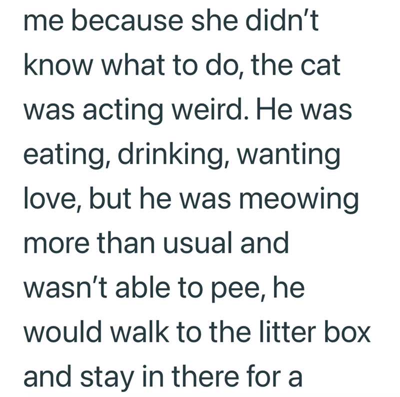 me because she didn't know what to do, the cat was acting weird. He was eating, drinking, wanting love, but he was meowing more than usual and wasn't able to pee, he would walk to the litter box and stay in there for a