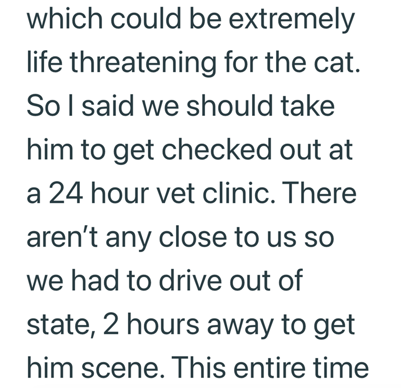 which could be extremely life threatening for the cat. So I said we should take him to get checked out at a 24 hour vet clinic. There aren't any close to us so we had to drive out of state, 2 hours away to get him scene. This entire time