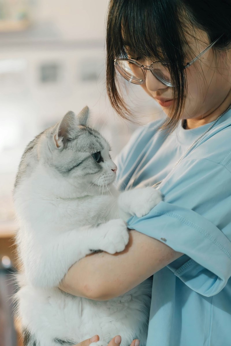 vet holding a cat