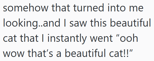 somehow that turned into me looking..and I saw this beautiful cat that I instantly went "ooh wow that's a beautiful cat!!"